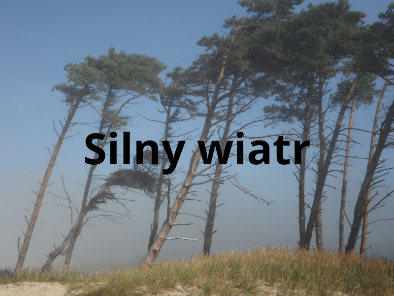 grafika silny wiatr (canva)
